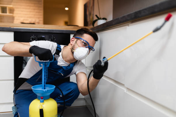Best Rat Extermination Near Me  in South Dennis, MA