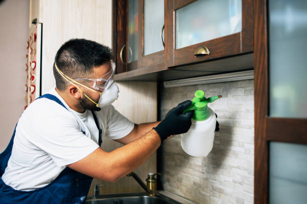Best Mosquito Control Services  in South Dennis, MA