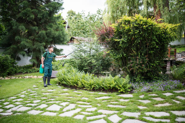 Best Pest Removal Services  in South Dennis, MA