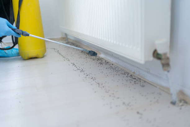Wildlife Control Services in South Dennis, MA